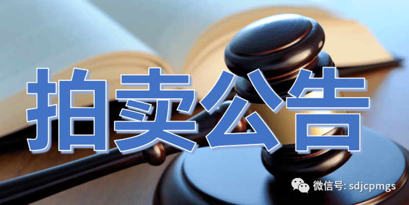土地使用权拍卖：城市发展的引擎